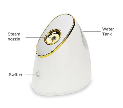 Ionic Facial Steamer